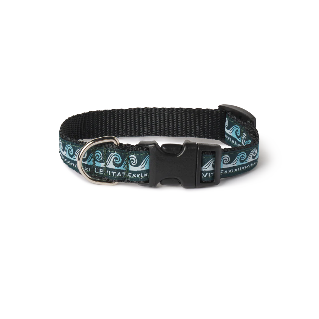 Levitate Dog Collar
