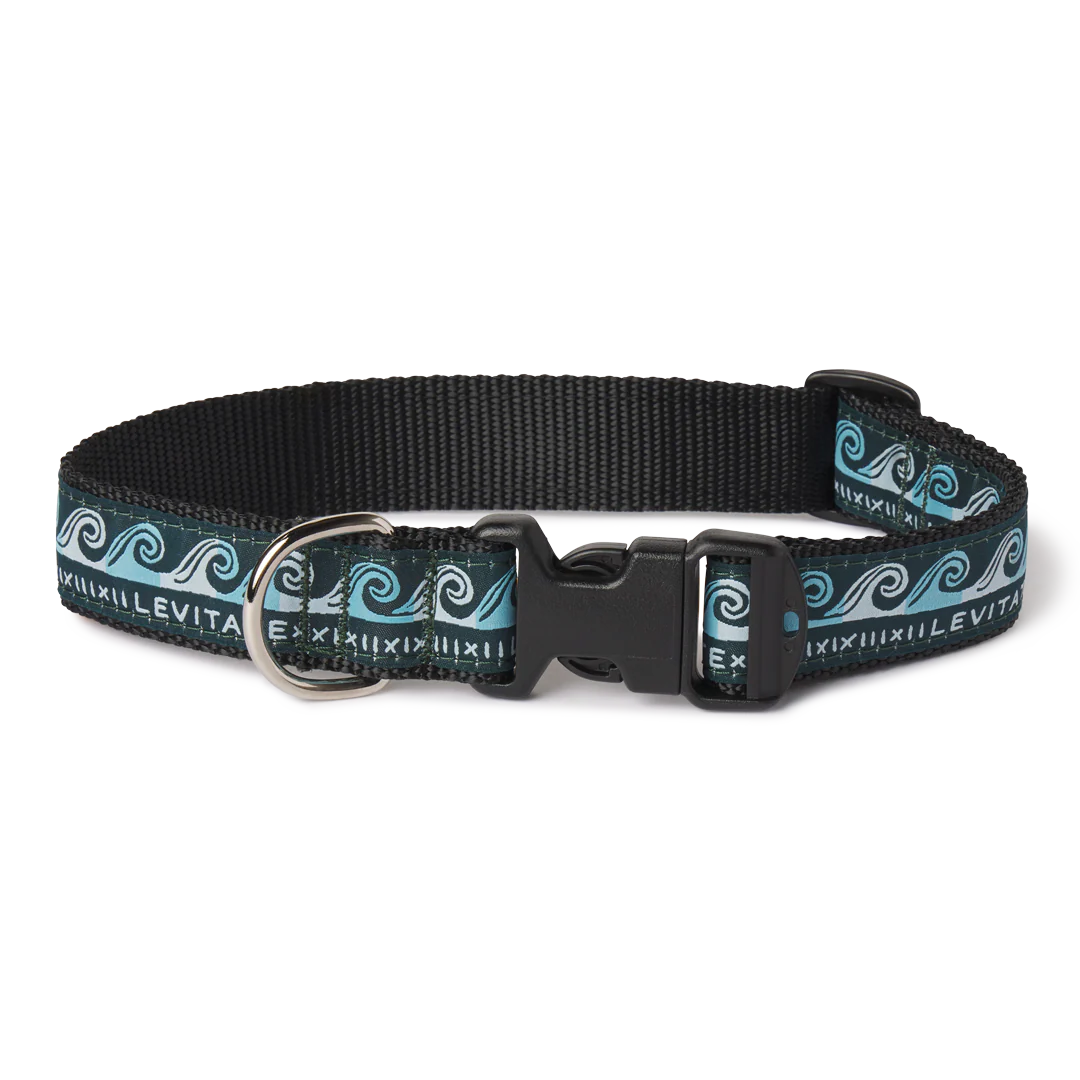 Levitate Dog Collar - Image 7