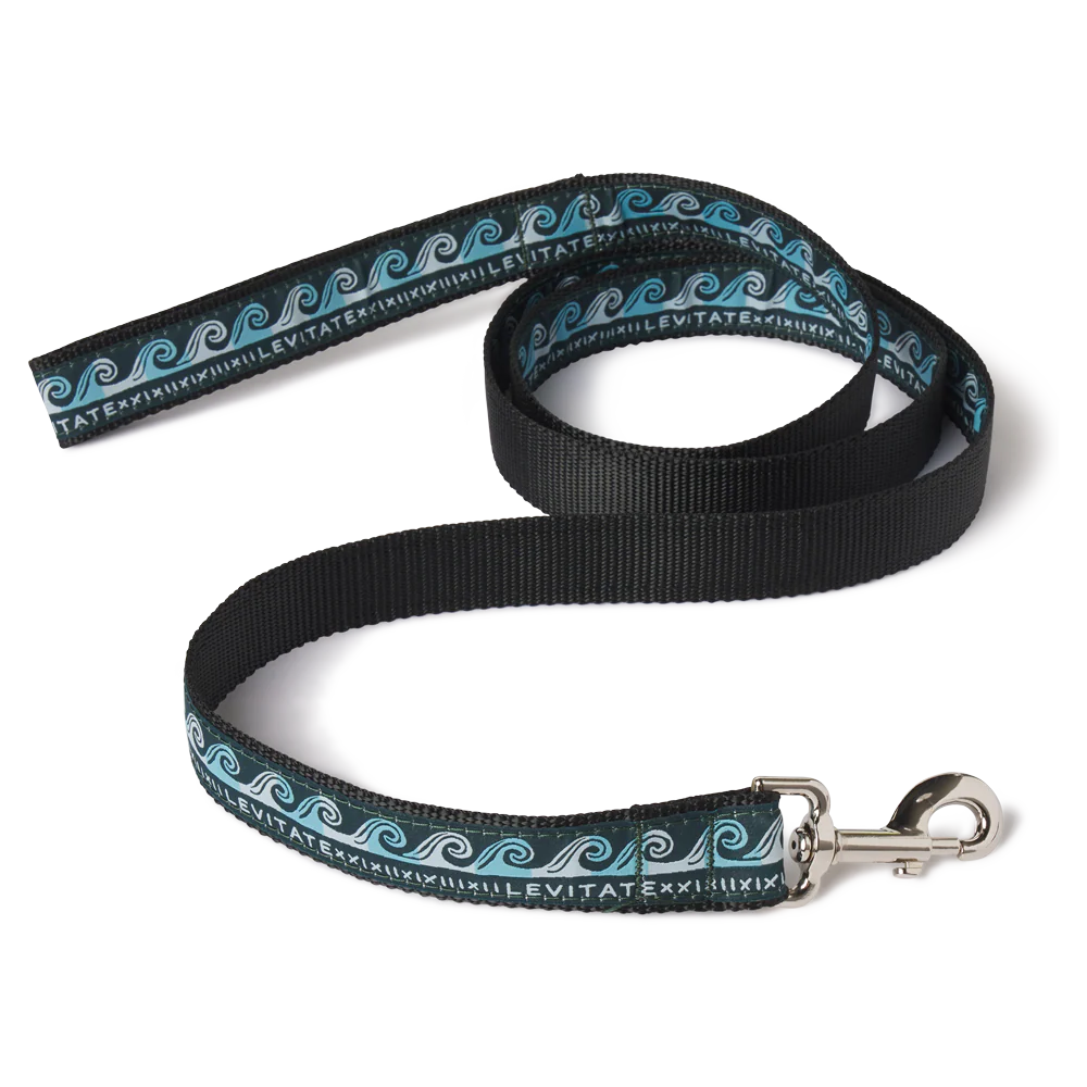 Levitate Dog Leash - Image 2
